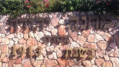 טיול השבוע: ממושב לשכונה - מופעים מומלצים בפתח תקווה