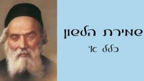 פרשת תזריע - הנספח לבעלי - פרשת השבוע בפתח תקווה