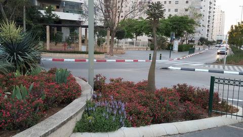 פרחים לאם המושבות - איכות הסביבה וחזות העיר בפתח תקווה