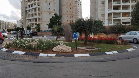 פרחים לאם המושבות - איכות הסביבה וחזות העיר בפתח תקווה