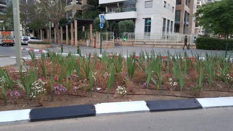 פרחים לאם המושבות - איכות הסביבה וחזות העיר בפתח תקווה