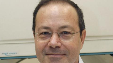 מינוי בינלאומי - בריאות בפתח תקווה
