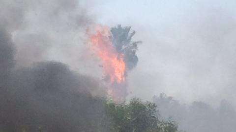 שריפת קוצים סמוך לצומת ירקון - חדשות בפתח תקווה