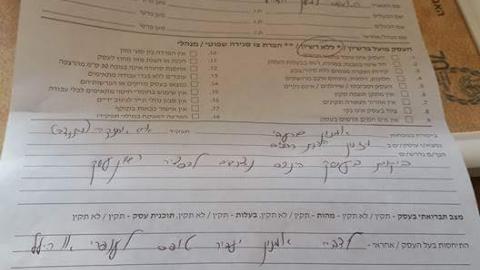מה רוצה העירייה מהדודות שלנו? - חדשות בפתח תקווה