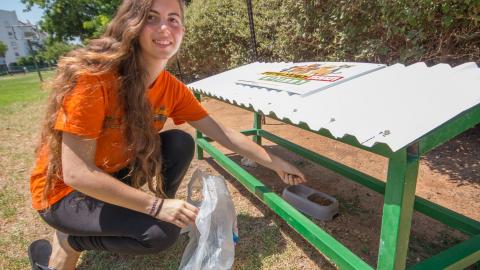 החתולה מיצי מתבקשת לחדר האוכל - חדשות בפתח תקווה