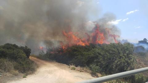 אושר צו המקנה כלים אפקטיבים לפגיעה בעבריינים