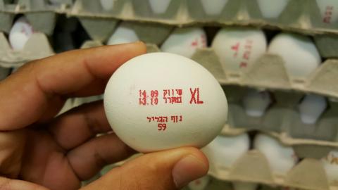 ביצים מסוכנות - צרכנות בפתח תקווה