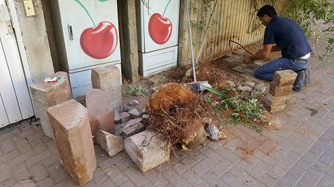 השחתת רכוש ציבורי – תופעה - חדשות בפתח תקווה