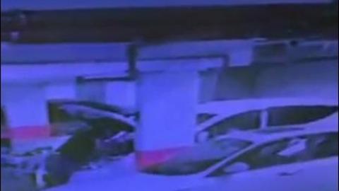 בעלת רכב מנעה את מאמצי - חדשות בפתח תקווה