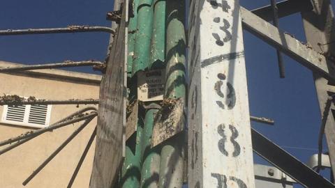 הרשויות מתווכחות ביניהן: בינתיים, עמודי - חדשות בפתח תקווה