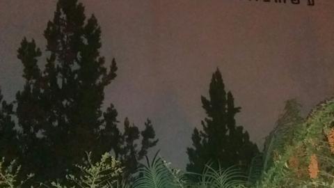 אחות אחת אכלה בוסר ושיני - חינוך בפתח תקווה