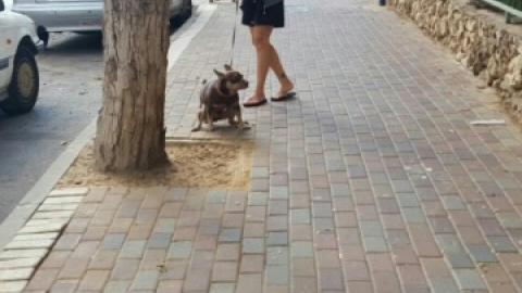 פקחי העירייה רשמו 165 דוחו"ת - איכות הסביבה וחזות העיר בפתח תקווה