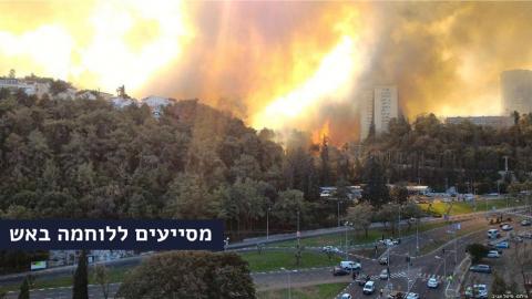 חבר מועצת העיר פתח תקוה - חדשות בפתח תקווה