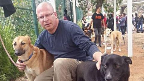קץ לתופעת המתת בע"ח בהסגרים! - בעלי חיים בפתח תקווה