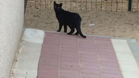 "הילדים חוזרים מהגן עם ריח - חינוך בפתח תקווה