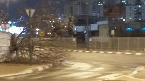 נזקי הסופה בפתח תקוה - חדשות בפתח תקווה
