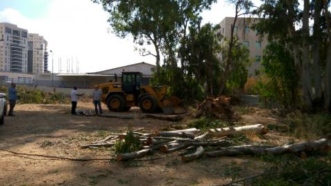 פרימדור: יושבים מסביב למועצה ויושבים - חדשות בפתח תקווה