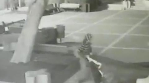 פרימדור: האירועים המרכזיים בפתח תקווה - חדשות בפתח תקווה