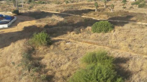 שריפה משתוללת בשטח פתוח סמוך - חדשות בפתח תקווה