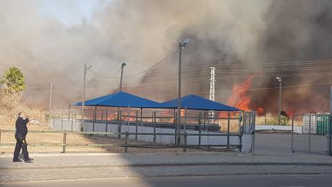 שריפה משתוללת בשטח פתוח סמוך - חדשות בפתח תקווה