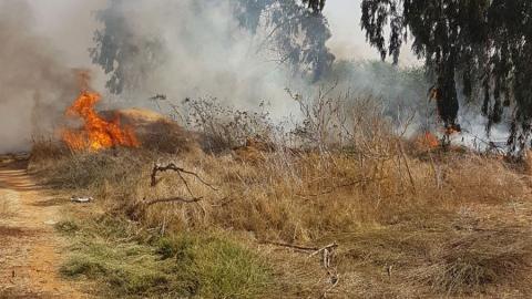 נבדק חשד להצתה: שוב שריפה - חדשות בפתח תקווה