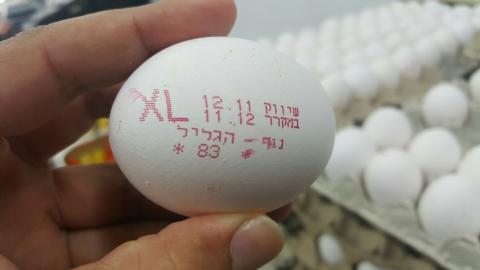 מעניין לכם הביצים - צרכנות בפתח תקווה