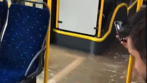 בריכת השחייה כלולה במחיר הכרטיס - חדשות בפתח תקווה