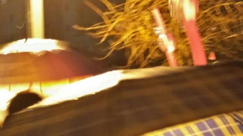 אורי ברייטמן: המשטרה הפעילה סוכנים - חדשות בפתח תקווה