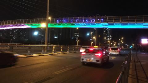 פעילים למען בעלי חיים במיצג - בעלי חיים בפתח תקווה