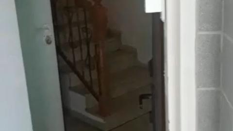 נחשפה מעבדת סמים בבית פרטי - חדשות בפתח תקווה