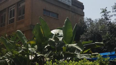 משרדי המועצה הדתית בפ"ת עוברים - חדשות בפתח תקווה