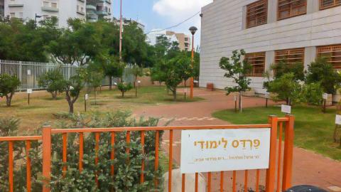יוקם מסלול אנתרופוסופי בבית ספר - חינוך בפתח תקווה