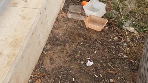15 מתוך 20 ילדים בגן - חדשות בפתח תקווה