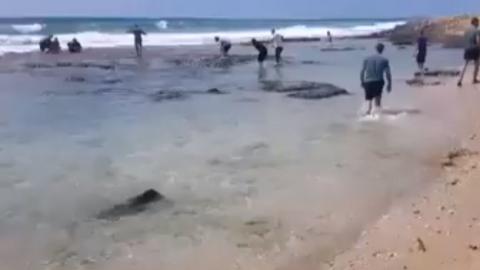 תושב פתח תקווה ניצל מטביעה - חדשות בפתח תקווה