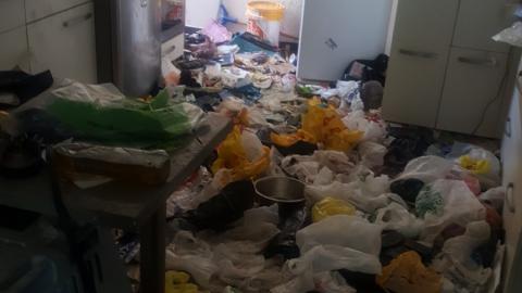 בעקבות תלונה של כלב - בעלי חיים בפתח תקווה