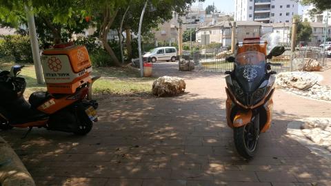 גבר התמוטט בגן ציבורי ברחוב - חדשות בפתח תקווה
