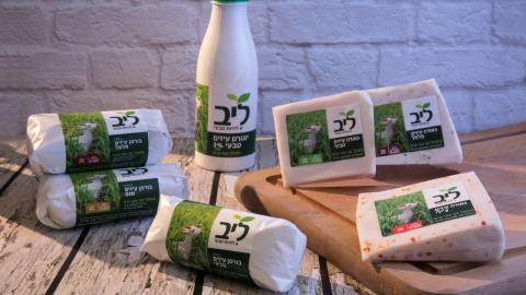 כל האמת על גבינות עזים - בריאות בפתח תקווה