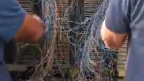 מי חיבל בקווי הטלפון של - בחירות  2018 בפתח תקווה