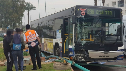 אוטובוס עלה על אי תנועה - חדשות בפתח תקווה