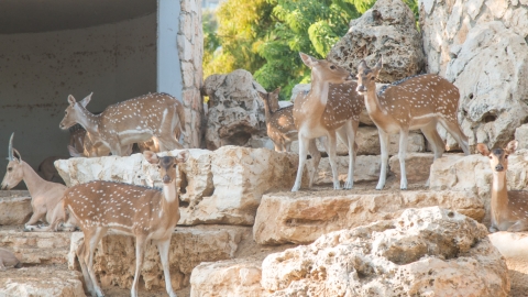עיריית פתח תקווה מזמינה את - חדשות בפתח תקווה