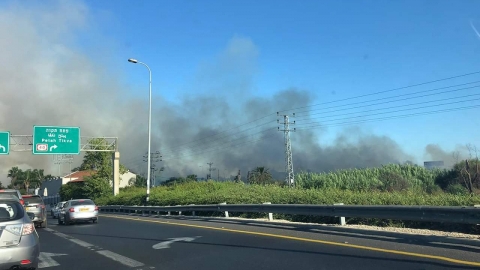 שריפת קוצים פרצה משני צידי - חדשות בפתח תקווה
