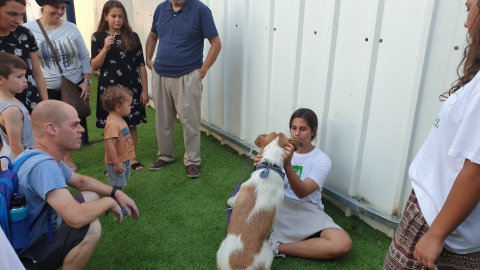 הפנינג יום אימוץ בפתח תקווה: - בעלי חיים בפתח תקווה