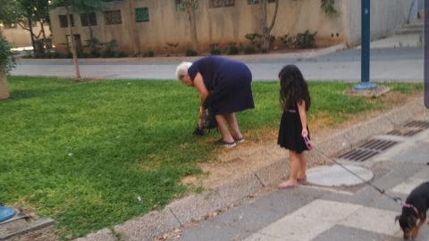 מבצע אכיפה נרחב נגד בעלי - איכות הסביבה וחזות העיר בפתח תקווה