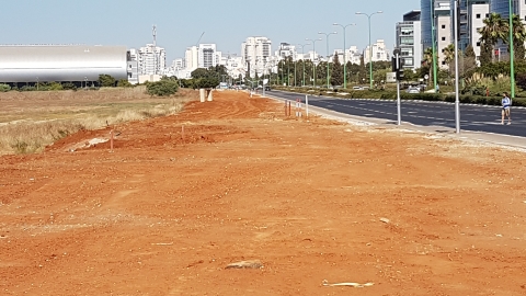 מאות טונות של פסולת, צמחיה - איכות הסביבה וחזות העיר בפתח תקווה