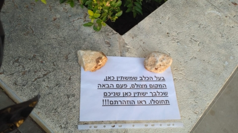 איים לחסל בגלל שכלב השתין - חדשות בפתח תקווה