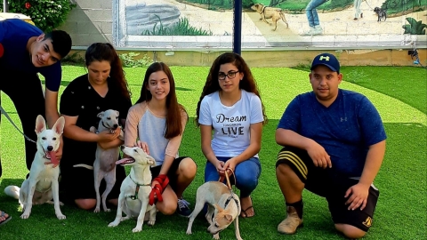בכלבייה העירונית של פתח תקווה - בעלי חיים בפתח תקווה