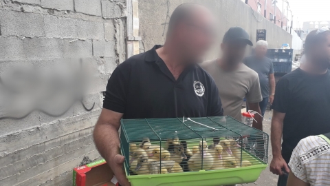 מבצע אכיפה ממוקד חשף החזקה - חדשות בפתח תקווה