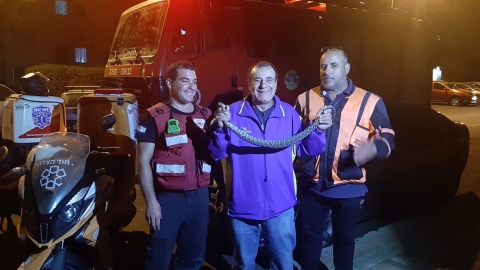 קיבלו דיווח על ריח של - חדשות בפתח תקווה