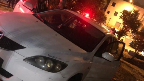 נהגת התנגשה בעץ סמוך לצומת - חדשות בפתח תקווה