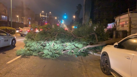 חורף בפתח תקווה: תקלות רמזורים - חדשות בפתח תקווה
